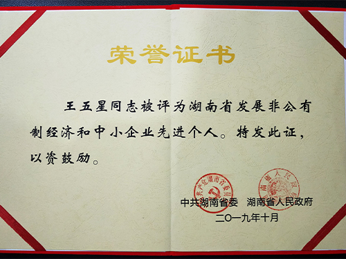 董事長(cháng)王五星被湖南省委、省政府評為湖南省發(fā)展非公有制經(jīng)濟和中小企業(yè)先進(jìn)個(gè)人