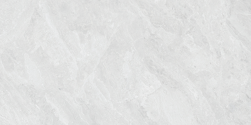 D84206 D84206